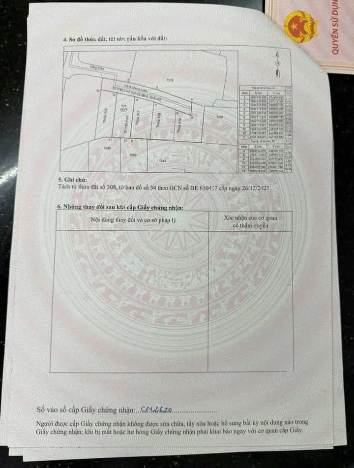 Đất nền Cẩm Phú 62m² giá chỉ 600 triệu - Sổ đỏ riêng, đầu tư sinh lời!