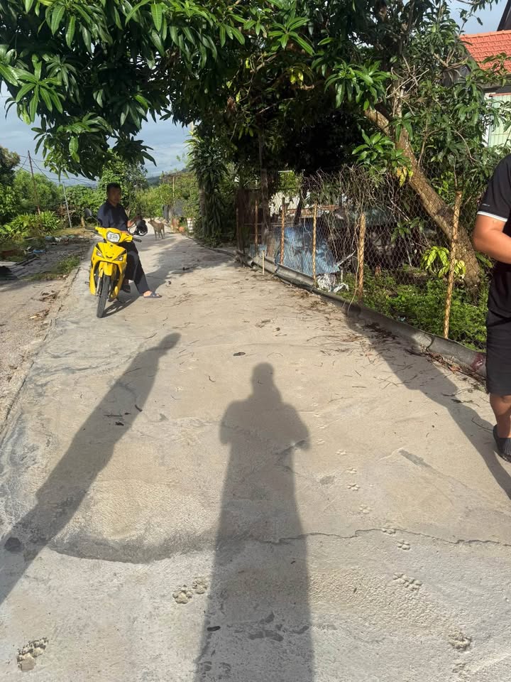 Đất thổ cư 80m² tại Thôn Chân Đèo, Hạ Long chỉ 550 triệu - Đường ô tô vào tận nơi!