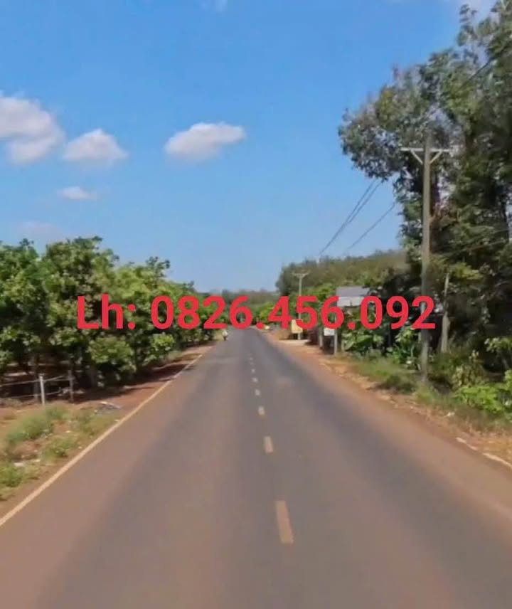 Bán đất 2 lô liền kề đường 312, Đồng Tâm, 550m² chỉ 400 triệu - Đầu tư sinh lời ngay!