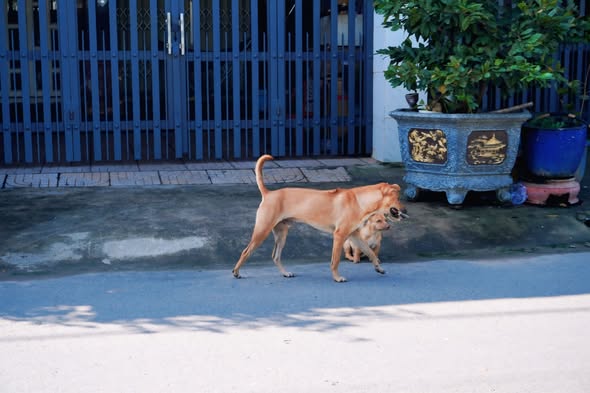 Đất nền Tân Phong, Tân Biên 150m² giá chỉ 189 triệu - Đầu tư an toàn không ngập lụt!