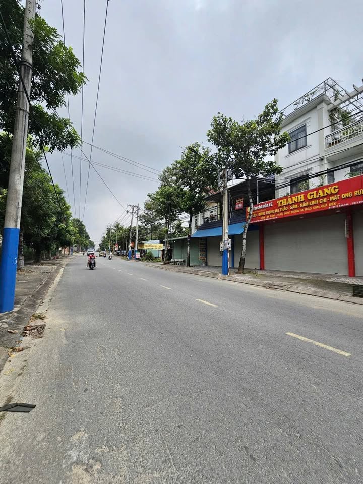 Đất mặt tiền đường Huỳnh Thị Tươi, Tân Bình, Dĩ An 86.6m² giá chỉ 6.5 tỷ - Đầu tư sinh lời ngay!