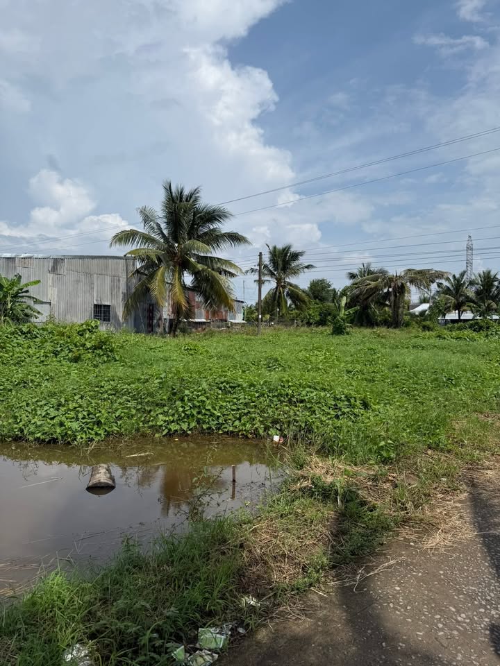 Đất nền 23500m² tại Kênh 2B, Tân Hiệp A - Giá 5.875 tỷ, thương lượng chính chủ!