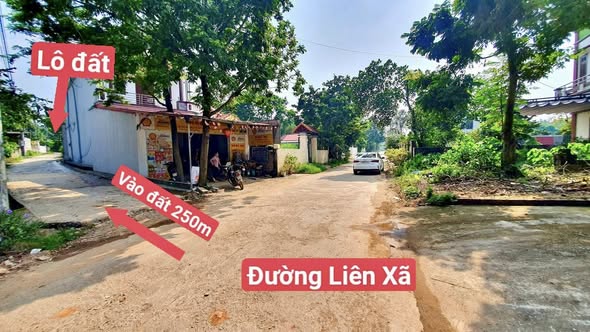 Bán lô đất 131m² tại Lập Thạch, Vĩnh Phúc - Vị trí đắc địa, giá chỉ 500 triệu!