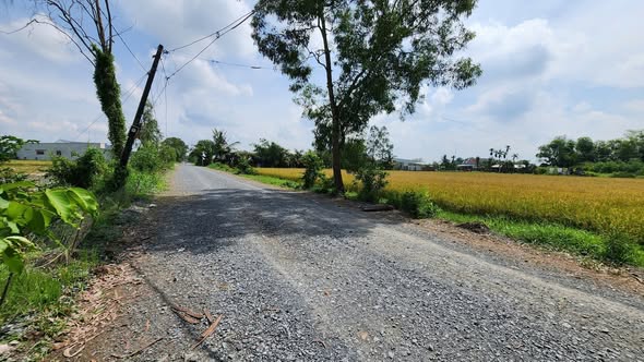 Đất nền Hòa Khánh Nam - Đức Hòa 1.100m² giá chỉ 2.95 tỷ - Đầu tư lâu dài!