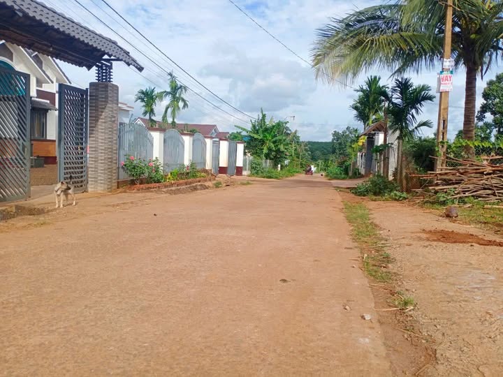 Đất nền hẻm cấp 1 tỉnh lộ 8, xã Quảng Phú, Đak Lak - Giá chỉ 1.2 tỷ!