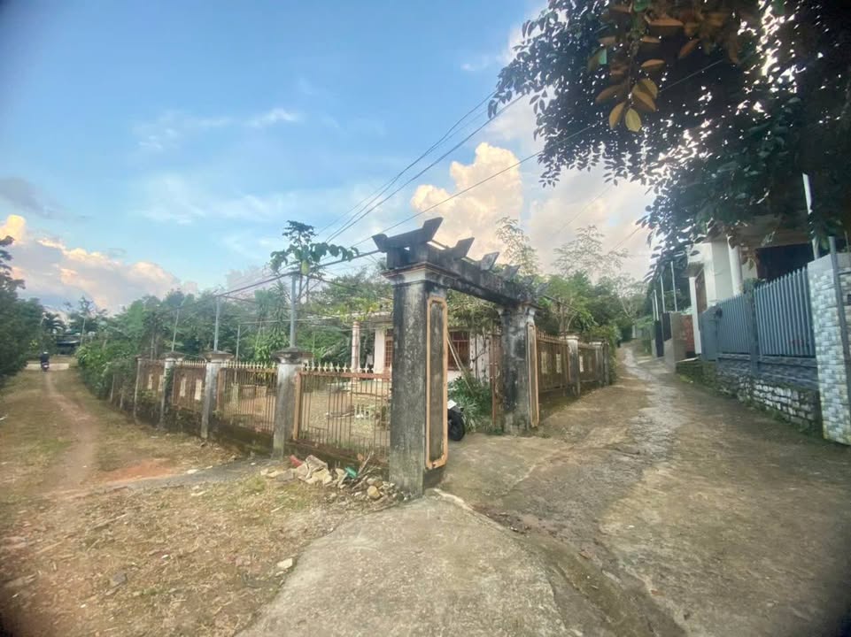 Nhà cấp 4 2 mặt tiền tại Hẻm quốc lộ 20, Bảo Lộc 1760m² giá 4 tỷ - Đầu tư sinh lời!
