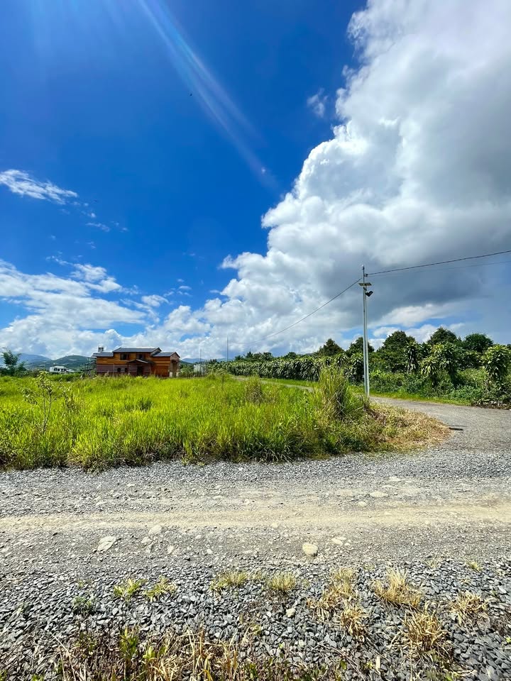 Đất thổ cư phường 3 Lộc Châu Bảo Lộc 205m² giá 1.37 tỷ - Đầu tư sinh lời ngay!