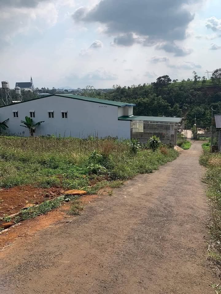 Đất thổ cư hẻm 360 Phan Đình Phùng, Bảo Lộc 192m² giá chỉ 1.35 tỷ - Cơ hội vàng đầu tư!