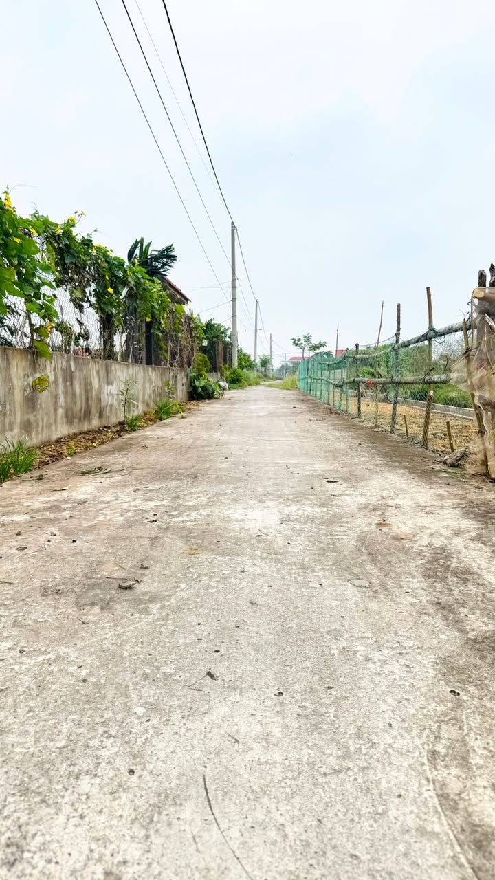 Đất thổ cư Kim Trung Kim Sơn 200m² giá 400 triệu - Cơ hội đầu tư tuyệt vời!