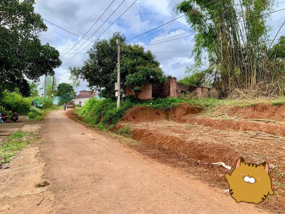 Đất thổ cư hẻm 230 Nguyễn Chí Thanh, Pleiku 164m² giá 1.15 tỷ - Vị trí thuận lợi cho đầu tư!