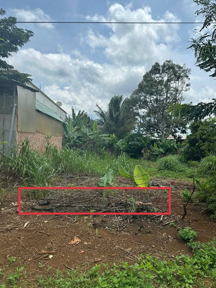 Đất đẹp hẻm 146 Âu Cơ Pleiku 300m² giá 1.3 tỷ - Gần chợ và bệnh viện!