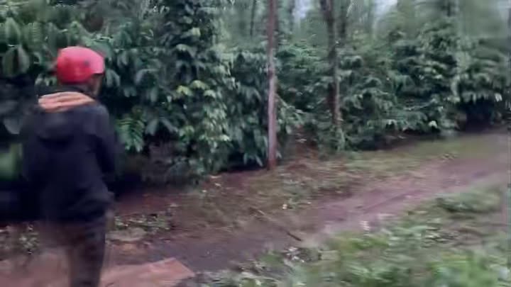 Đất trang trại Ia Dreng Chư Pưh 3400m² giá 750 triệu - Cơ hội đầu tư sinh lời!