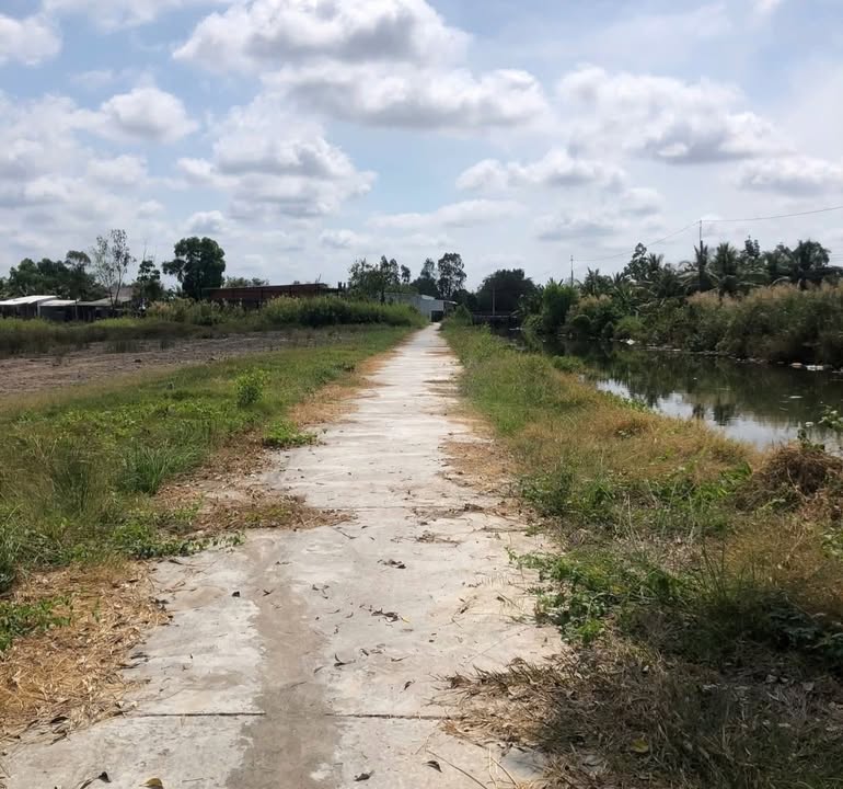 Đất nền phường 8 TP Cà Mau 300m² giá chỉ 500 triệu - Đầu tư sinh lời hấp dẫn!