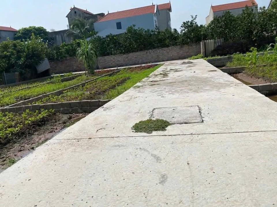 Đất nền Chương Dương, Thường Tín 54.6m² giá 2.25 tỷ - Ô tô đỗ cửa tiện lợi!