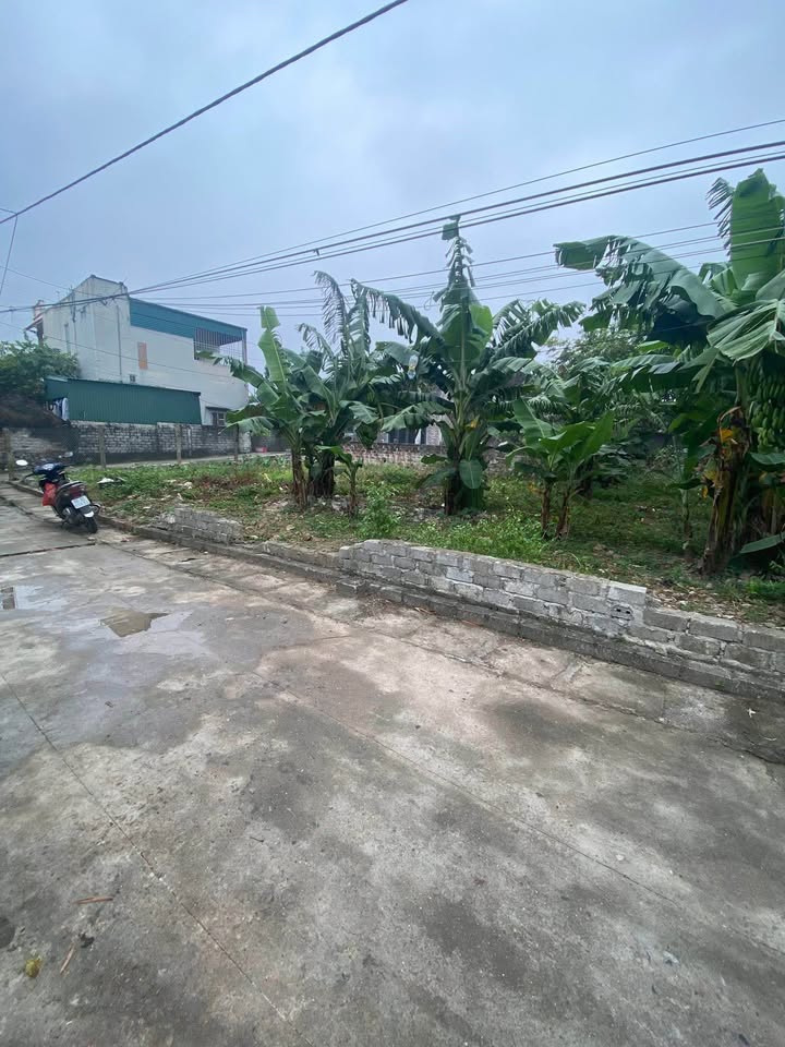 Đất nền Thanh Thủy, Thanh Liêm, Hà Nam 65m² giá 700 triệu - Chính chủ bán nhanh!