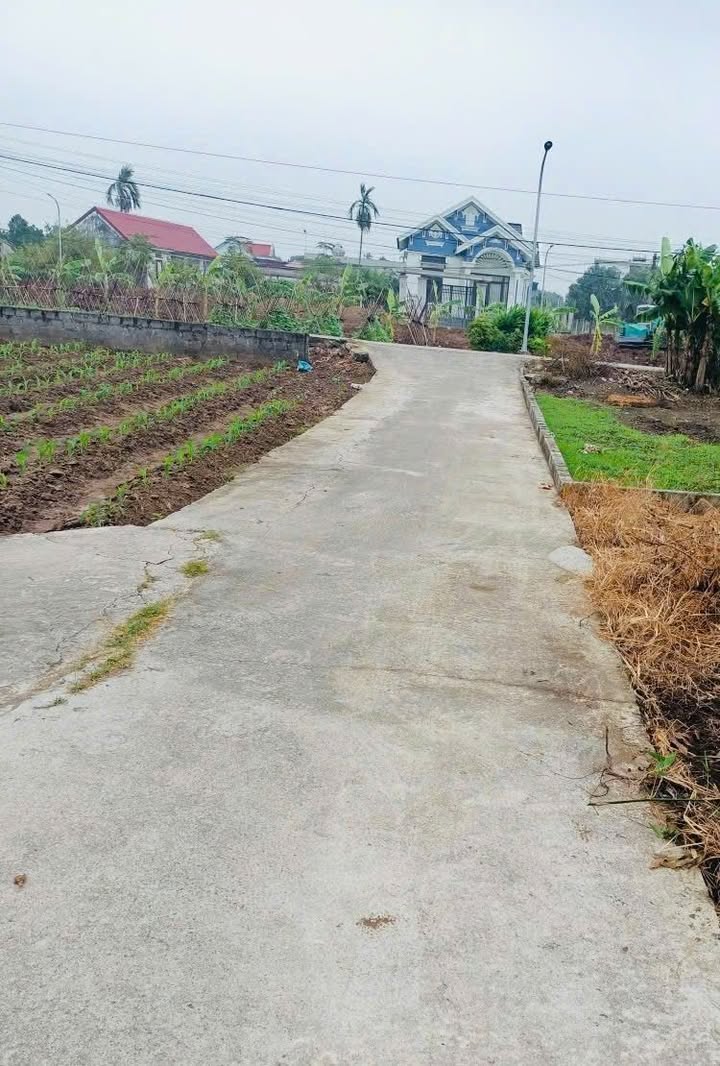 Đất nền Xóm 5, Nghĩa Phú, Nghĩa Hưng 264.5m² giá 1.2 tỷ - Kinh doanh thuận lợi!
