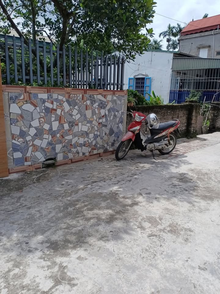 Đất nền thôn Lương Cả, xã An Ninh, 109.7m² giá 1 tỷ - Đầu tư sinh lời ngay!