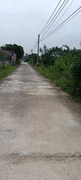 Đất nền Thôn Bương Hạ Đông, Quỳnh Phụ, 426m² giá 1,7 tỷ - Đầu tư lý tưởng!