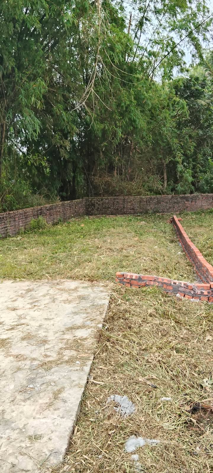 Đất nền An Đồng, An Dương 50m² giá 400 triệu - Cơ hội đầu tư siêu lời!