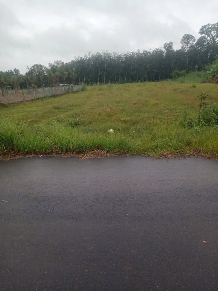 Đất nền Long Vĩnh, Châu Thành, Tây Ninh 750m² giá 1.1 tỷ - Cần bán gấp chính chủ!