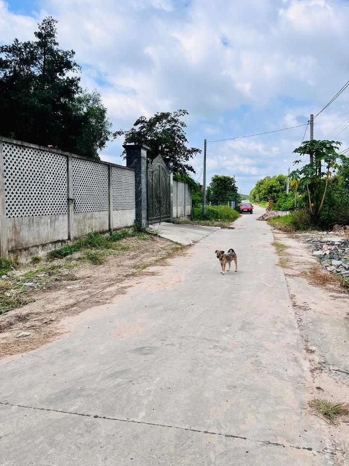 Đất thổ vườn Nhơn Trạch 1.535m² giá 9.21 tỷ - Sổ hồng chính chủ!