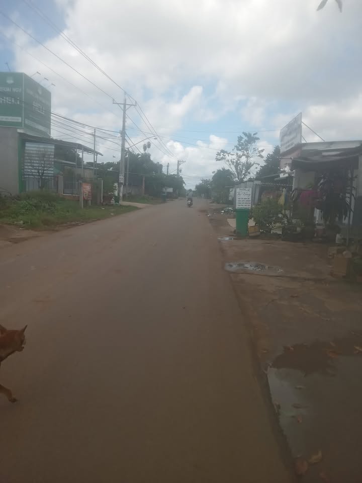 Đất nền Đức Tài 125m² giá chỉ 125 triệu - Cơ hội đầu tư hấp dẫn!