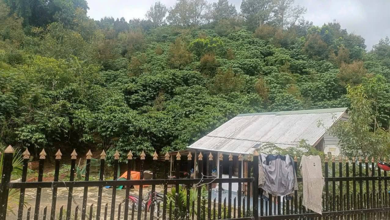 Đất Tân Lạc Bảo Lâm 88m² giá 3 tỷ - Sổ đỏ chính chủ