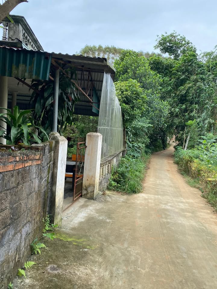 Đất thổ cư Yên Kỳ Hạ Hoà 2695m² giá chỉ 999 triệu - Cơ hội đầu tư hiếm có!