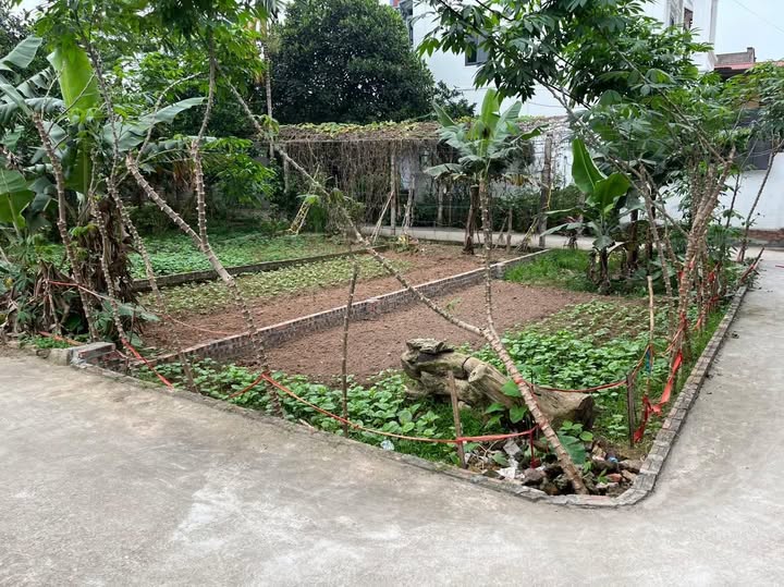 Đất nền Kim Sơn, Gia Lâm 50m² giá 2.8 tỷ - Mặt tiền rộng, ô tô vào tận đất!