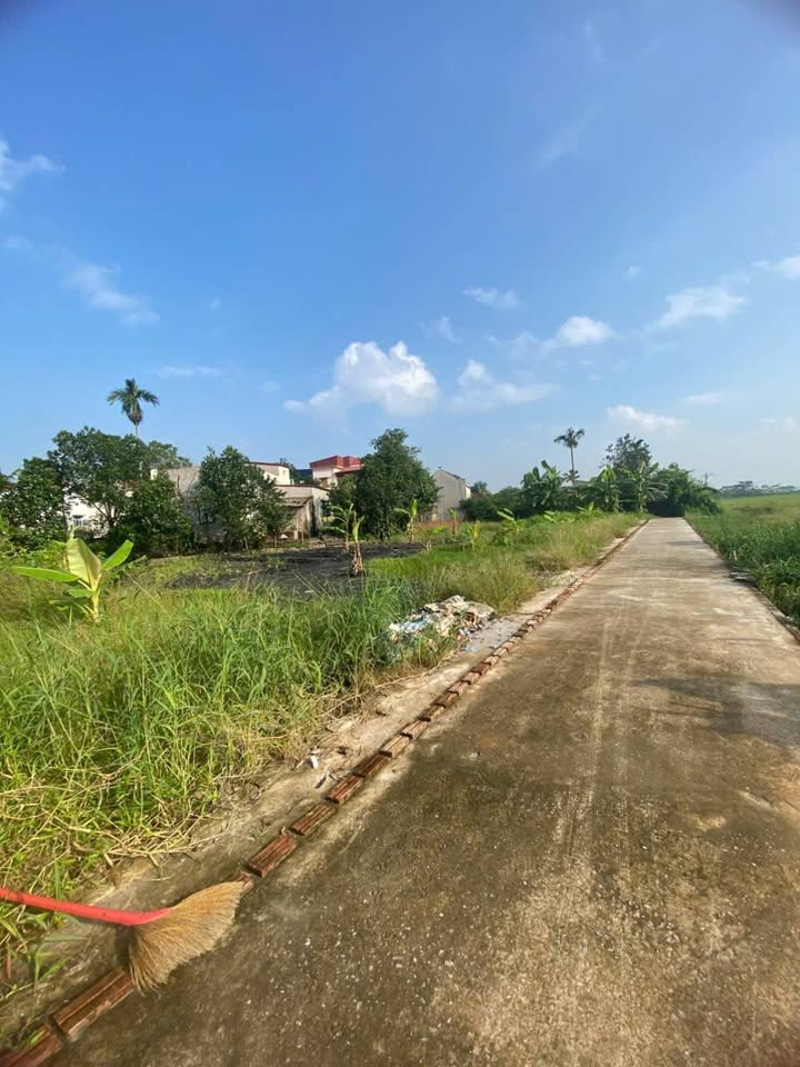 Đất nền chính chủ tại xóm Hoè, Trung Thành, Vụ Bản 94m² chỉ 650 triệu - Cơ hội đầu tư hấp dẫn!