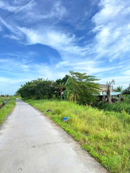 Đất Farm 2000m² mặt tiền Kênh N29 Phan Thiết - Giá chỉ 1.36 tỷ, sẵn sàng xây dựng!