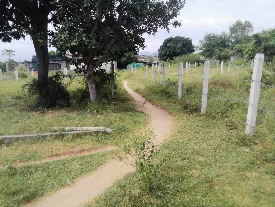 Lô đất Cam Phú, Cam Ranh 179m² giá 320 triệu - Đầu tư sinh lời ngay!