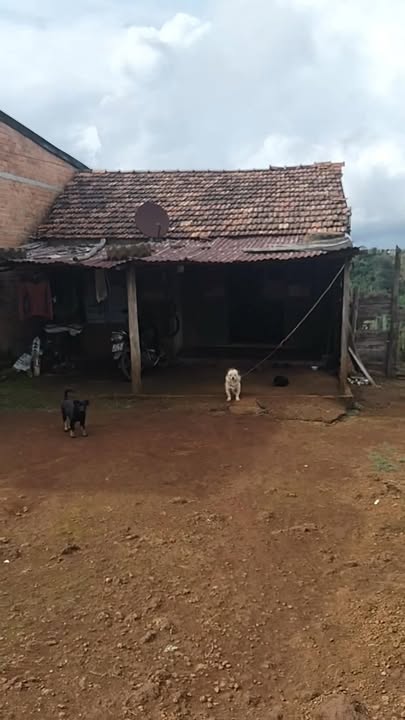 Đất nền Nâm N' Jang, Đắk Song 320m² giá 450 triệu - Cơ hội đầu tư hấp dẫn!