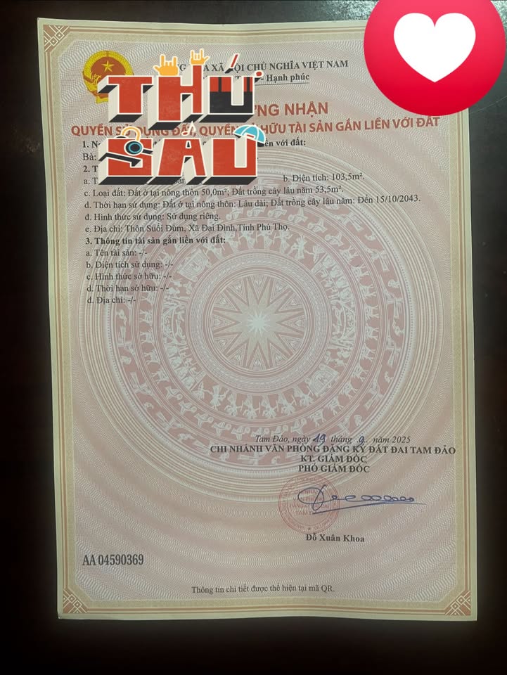 Đất thổ cư 50m² tại Đại Đình - Tam Đảo 103m² - Giá thỏa thuận hấp dẫn!