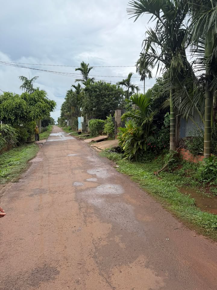 Đất nền thôn 5 Ea Drông 175m² giá 379 triệu - Đầu tư sinh lời ngay!