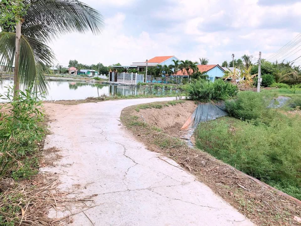 Đất thổ cư Nhựt Ninh, Tân Trụ 1640m² giá 2.7 tỷ - Gần tỉnh lộ, thuận tiện giao thông