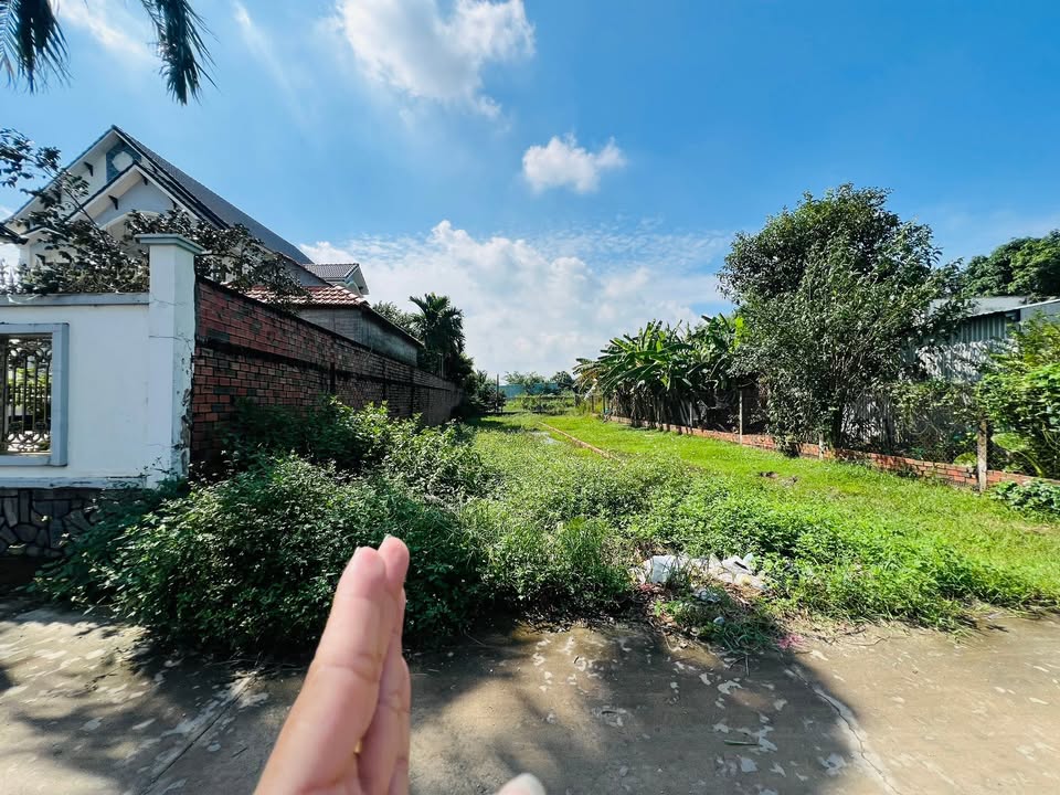 Đất thổ cư 228m² gần chợ Đình - Mỹ Hạnh Bắc, giá 1.7 tỷ - Khu dân cư đông đúc