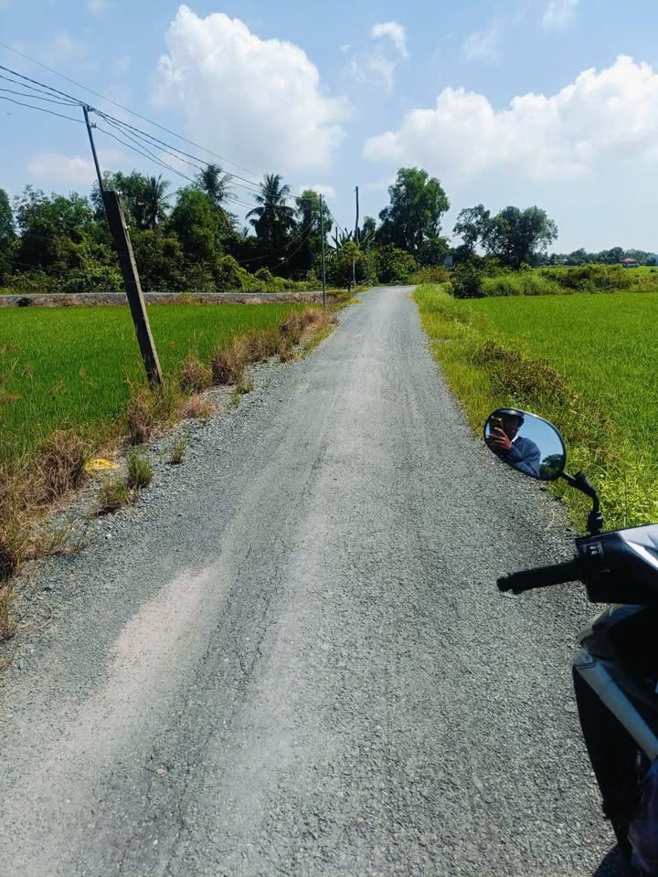 Đất mặt tiền đường nhựa xã Bình An 5568m² giá chỉ 3.2 tỷ - Cơ hội đầu tư hấp dẫn!