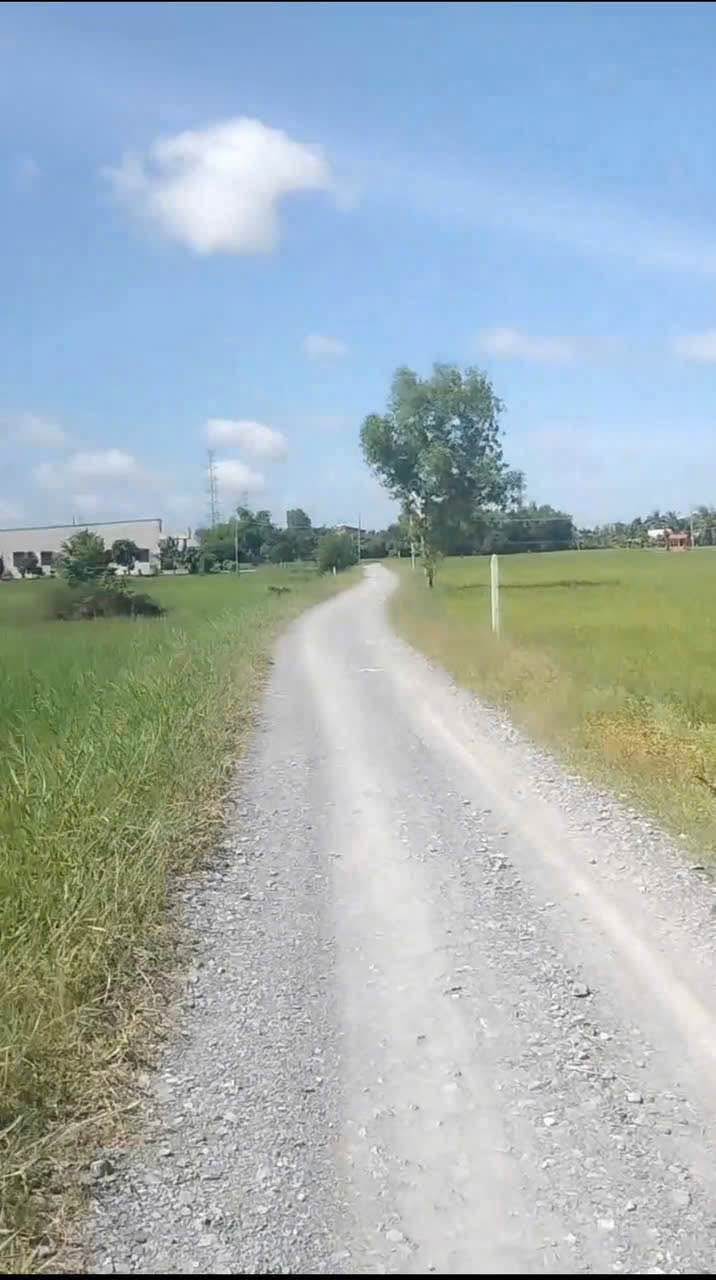 Đất nền phân lô Tân Phú, Đức Hòa 2763m² giá chỉ 6 tỷ - Cơ hội đầu tư tuyệt vời!