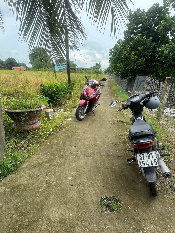 Đất nông nghiệp 4 công tại Nhơn Thạnh Trung, Tân An - Giá chỉ 670 triệu/công!