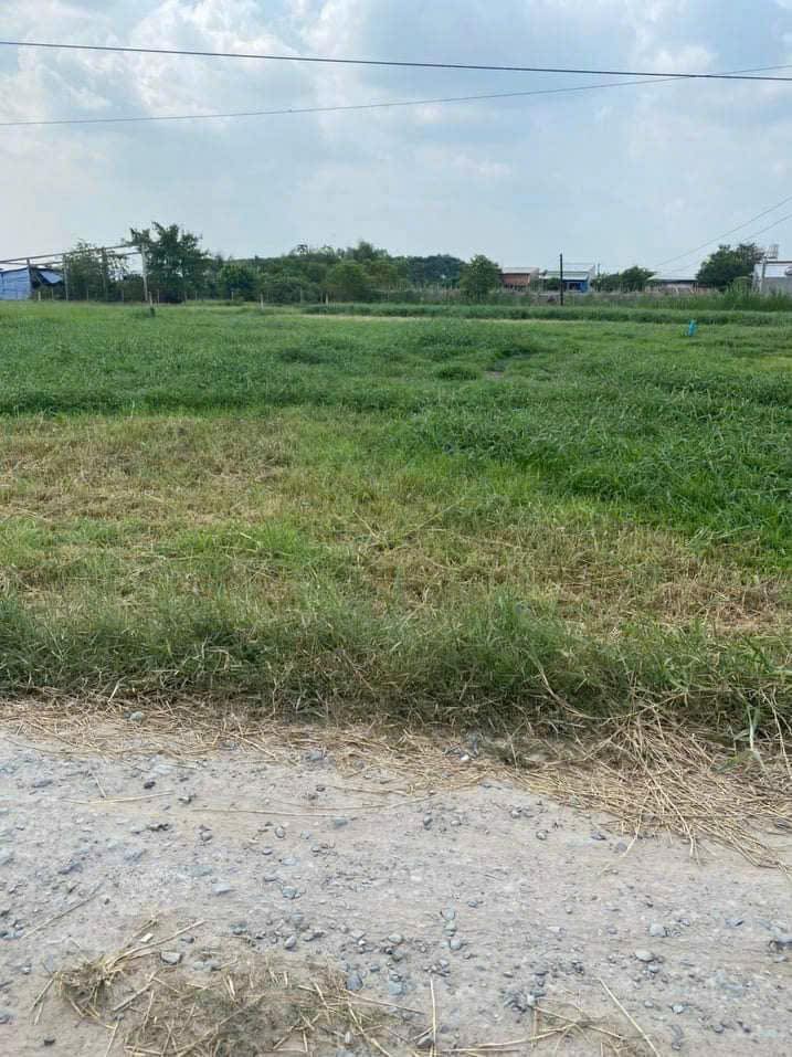 Đất thổ cư xã Đức Hòa Thượng 500m² giá 2.3 tỷ - Sổ hồng riêng, đầu tư sinh lời!