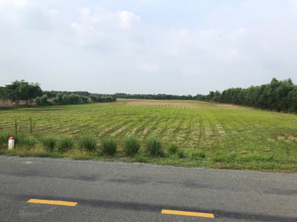 Đất nông nghiệp 36000m² tại Bình Thành, Đức Huệ, Long An giá 35 tỷ - Cơ hội đầu tư hấp dẫn!