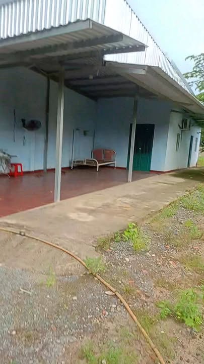 Đất nền 1000m² tại ấp Giồng Lớn, Đức Hòa - Giá chỉ 10 tỷ, sổ đỏ chính chủ!