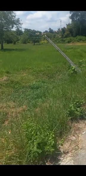 Đất thổ cư 11m mặt tiền chợ Tam Hạp, Tây Ninh - Giá 1.6 tỷ, thương lượng!