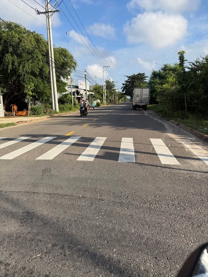 Đất nền Phú Tài, Phan Thiết 115m² giá 600 triệu - Đầu tư sinh lời ngay!