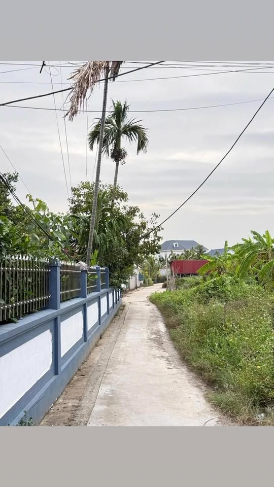 Đất thổ cư Quang Trung, Minh Đức 260m² giá 2 tỷ - Vị trí đẹp gần khu du lịch Đồi Rồng!