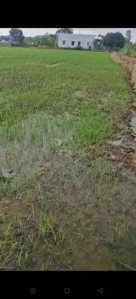 Đất nền 5710m² Bình Cang 2 - Giá chỉ 480 triệu, đầu tư sinh lời ngay!