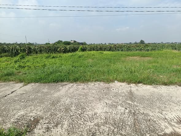 Đất thổ cư Hiệp Thạnh, Châu Thành, Long An 180m² - Mặt tiền đường ô tô, giá chỉ 450 triệu!