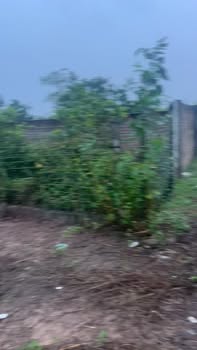 Đất vườn 204m² tại Phúc Đức, Sài Sơn - Giá tốt chỉ vài trăm triệu!