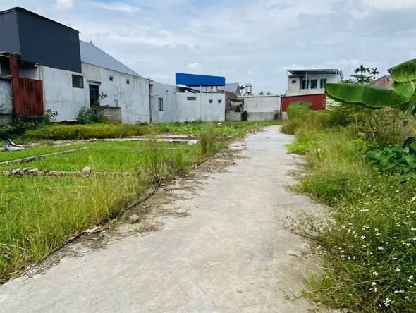 Đất nền chính chủ tại TDP Hà Đậu, An Phong, Hải Phòng - 60m² chỉ 890 triệu!